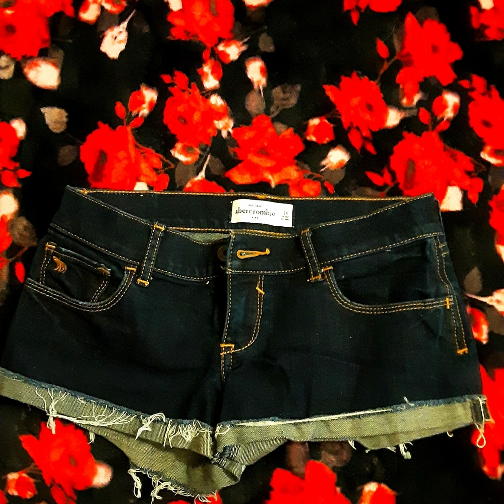 Abercrombie girl's shorts